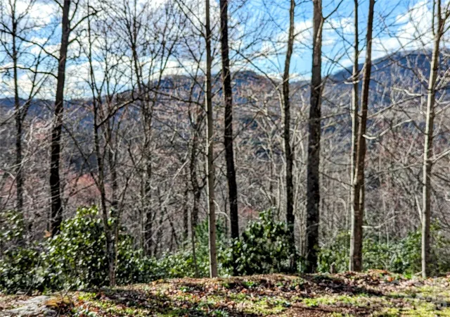 Homes for sale in Tuckasegee, NC | 0 Dodgen Ridge Rd, Tuckasegee, NC 28783 | MLS# 4118831