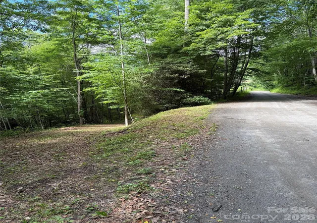 Homes for sale in Tuckasegee, NC | 0 Dodgen Ridge Rd, Tuckasegee, NC 28783 | MLS# 4118831
