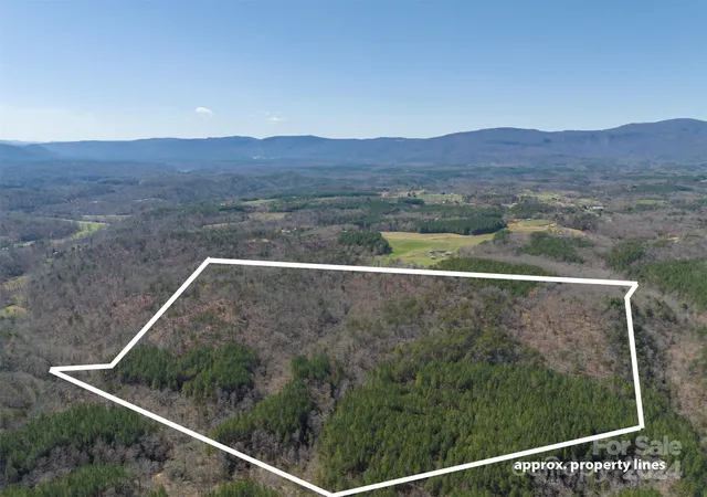 17th image of 0 N Lynch Rd Sw, Mill Spring, NC 28756 | MLS# 4119709