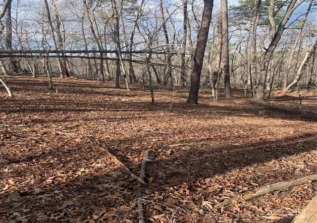 2nd image of 0 N Lynch Rd Sw, Mill Spring, NC 28756 | MLS# 4119709