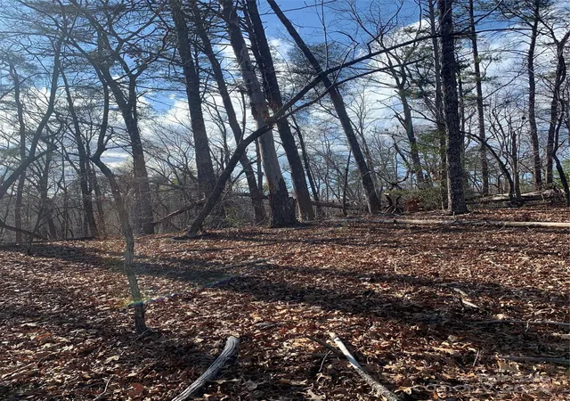 3rd image of 0 N Lynch Rd Sw, Mill Spring, NC 28756 | MLS# 4119709