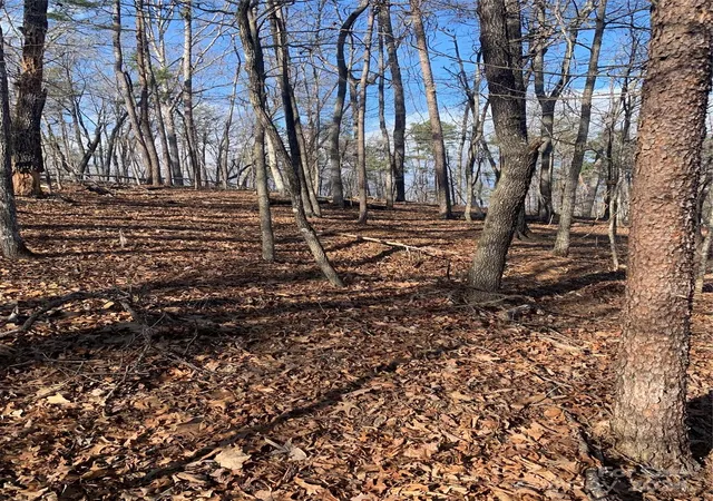 4th image of 0 N Lynch Rd Sw, Mill Spring, NC 28756 | MLS# 4119709