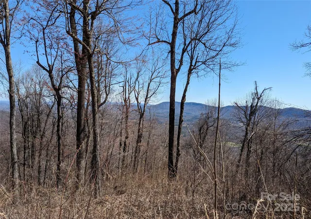 Homes for sale in Black Mountain, NC | 2687 Creston Dr #T-26, Black Mountain, NC 28711 | MLS# 4120067