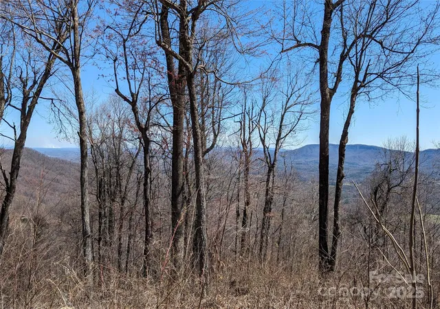 Homes for sale in Black Mountain, NC | 2687 Creston Dr #T-26, Black Mountain, NC 28711 | MLS# 4120067