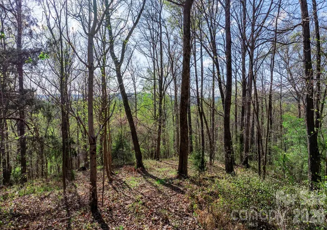 Photo 2 of Land for sale at 00 Somers Rd, North Wilkesboro, NC 28689 | MLS# 4122077 | Listing updated on 2026-09-02