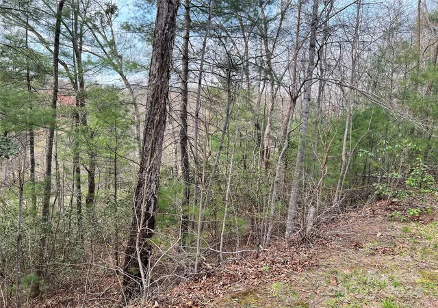 Photo 2 of Land for sale at 3114 Mountain Laurel Dr, Lenoir, NC 28645 | MLS# 4125435 | Listing updated on 2026-09-23