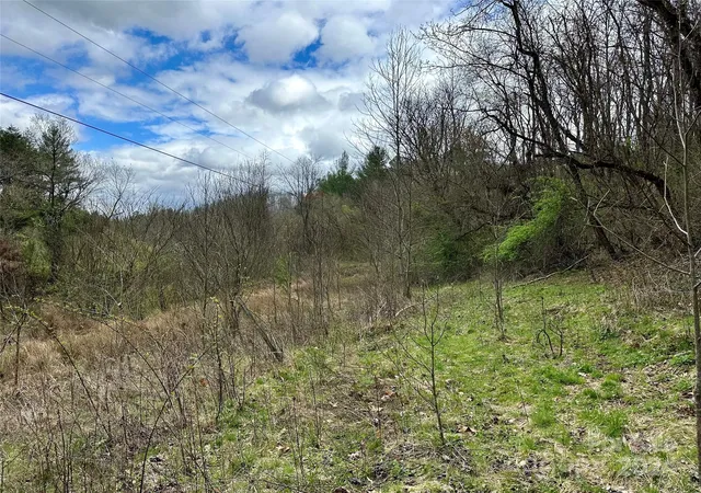 1st image of 000 Fletcher Martin Rd #2 & 3, Alexander, NC 28701 | MLS# 4125692