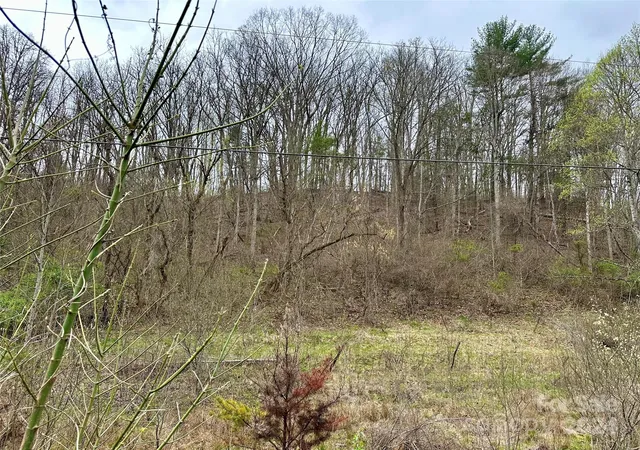 35th image of 000 Fletcher Martin Rd #2 & 3, Alexander, NC 28701 | MLS# 4125692