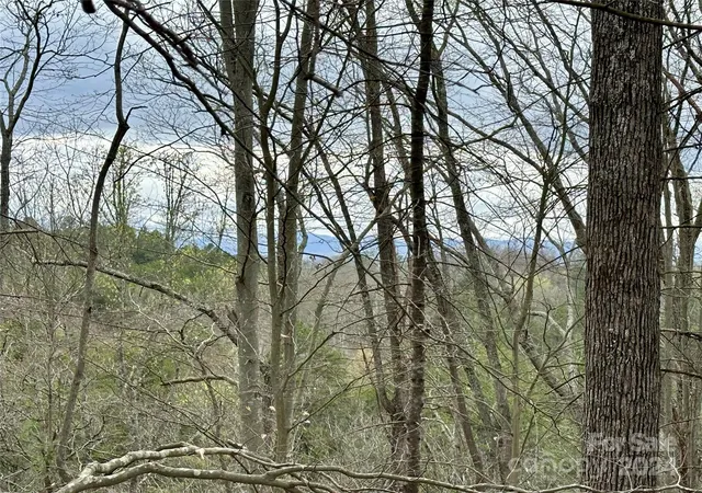 4th image of 000 Fletcher Martin Rd #2 & 3, Alexander, NC 28701 | MLS# 4125692