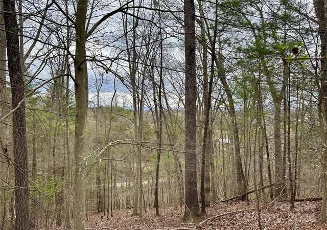 5th image of 000 Fletcher Martin Rd #2 & 3, Alexander, NC 28701 | MLS# 4125692