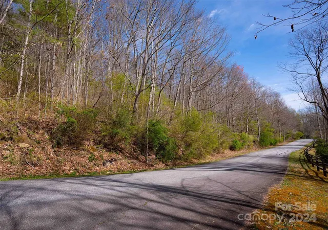 Photo 1 of Land for sale at Lot 29 Connemara Overlook Dr, Hendersonville, NC 28739 | MLS# 4125781 | Listing updated on 2026-09-23