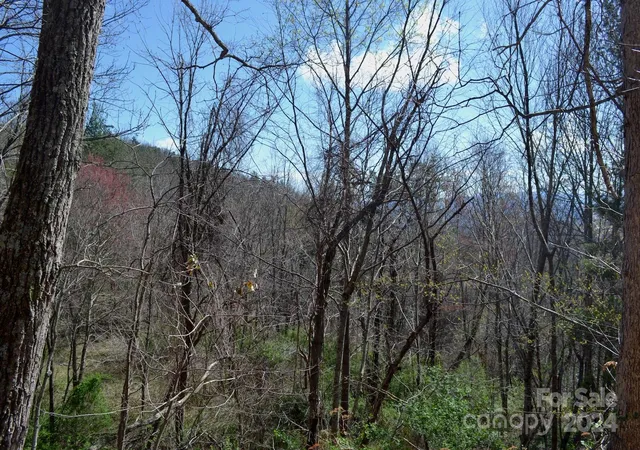 Photo 1 of Land for sale at Lot 8 Town Mountain Rd, Asheville, NC 28804 | MLS# 4125897 | Listing updated on 2026-09-25