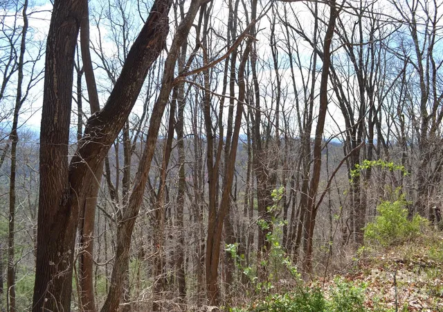 Photo 2 of Land for sale at Lot 8 Town Mountain Rd, Asheville, NC 28804 | MLS# 4125897 | Listing updated on 2026-09-25