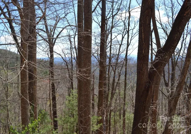 Photo 3 of Land for sale at Lot 8 Town Mountain Rd, Asheville, NC 28804 | MLS# 4125897 | Listing updated on 2026-09-25