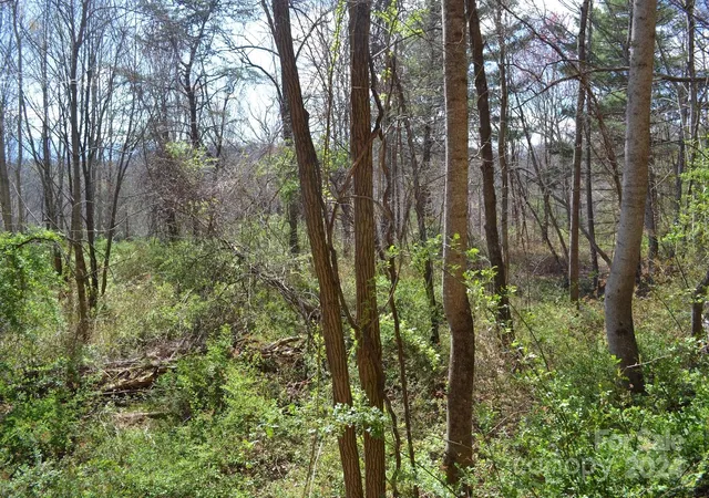 Photo 4 of Land for sale at Lot 8 Town Mountain Rd, Asheville, NC 28804 | MLS# 4125897 | Listing updated on 2026-09-25