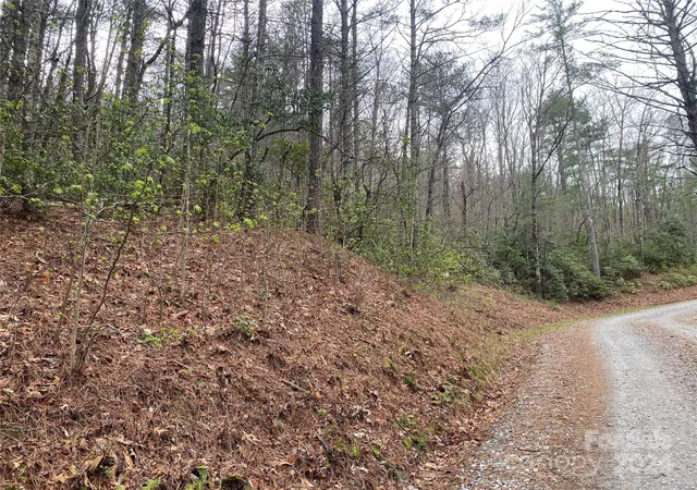 Photo 4 of Land for sale at Lot 11 Fox Ridge Trl, Marion, NC 28752 | MLS# 4126909 | Listing updated on 2026-10-28