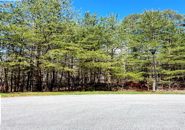 3rd image of 225 Kingfisher Ct, New London, NC 28127 | MLS# 4127994