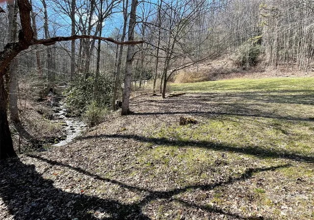 Homes for sale in Leicester, NC | 81 Peepeye Cove Rd, Leicester, NC 28748 | MLS# 4128094