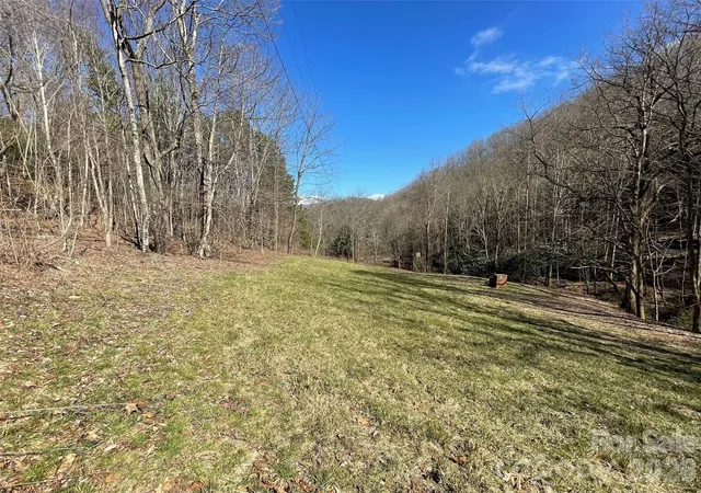 Homes for sale in Leicester, NC | 81 Peepeye Cove Rd, Leicester, NC 28748 | MLS# 4128094