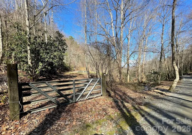 Homes for sale in Leicester, NC | 81 Peepeye Cove Rd, Leicester, NC 28748 | MLS# 4128094