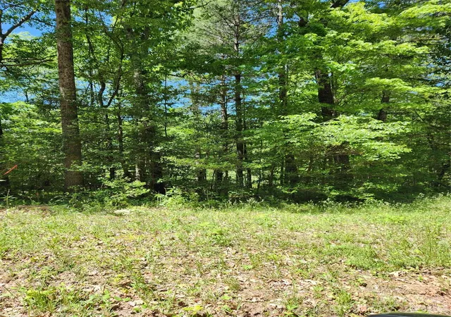 Photo 1 of Land for sale at 9 Tadpole Ln, Taylorsville, NC 28681 | MLS# 4130351 | Listing updated on 2026-10-07