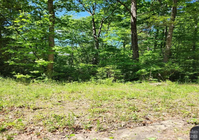 Photo 2 of Land for sale at 9 Tadpole Ln, Taylorsville, NC 28681 | MLS# 4130351 | Listing updated on 2026-10-07