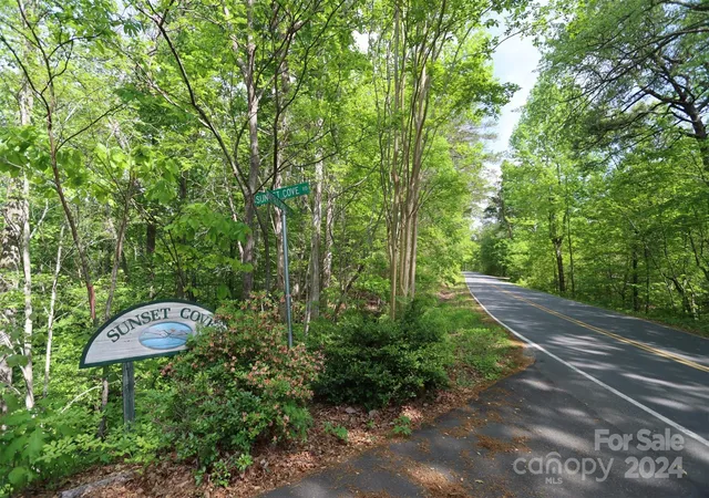 1st image of 00 Buffalo Shoals Rd, Lake Lure, NC 28746 | MLS# 4135945