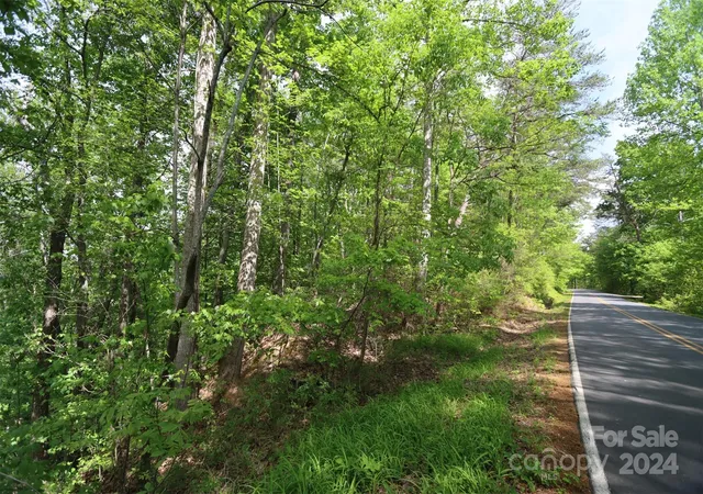 2nd image of 00 Buffalo Shoals Rd, Lake Lure, NC 28746 | MLS# 4135945
