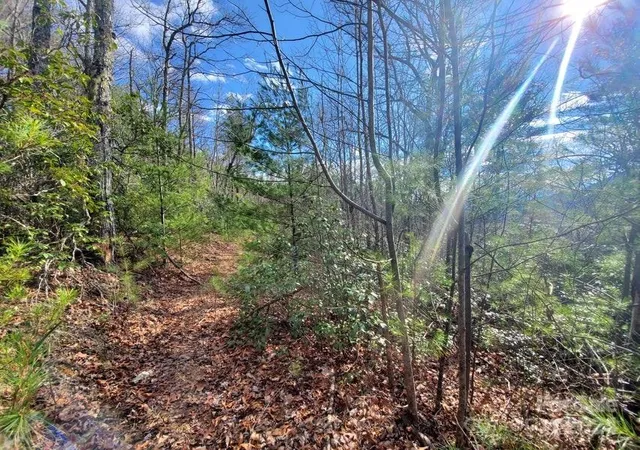 Photo 38 of Land for sale at 00 Elkins Rd #20, Bakersville, NC 28705 | MLS# 4141160 | Listing updated on 2026-03-19