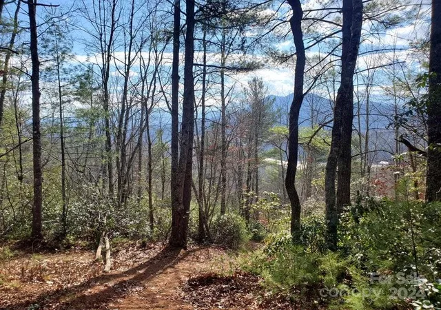 Photo 4 of Land for sale at 00 Elkins Rd #20, Bakersville, NC 28705 | MLS# 4141160 | Listing updated on 2026-03-19
