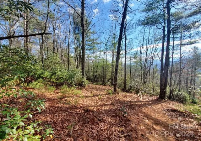 Photo 5 of Land for sale at 00 Elkins Rd #20, Bakersville, NC 28705 | MLS# 4141160 | Listing updated on 2026-03-19
