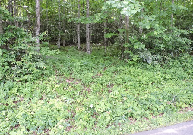 Photo 3 of Land for sale at 00 South Toe River Rd #lot 2, Burnsville, NC 28714 | MLS# 4146808 | Listing updated on 2026-08-23