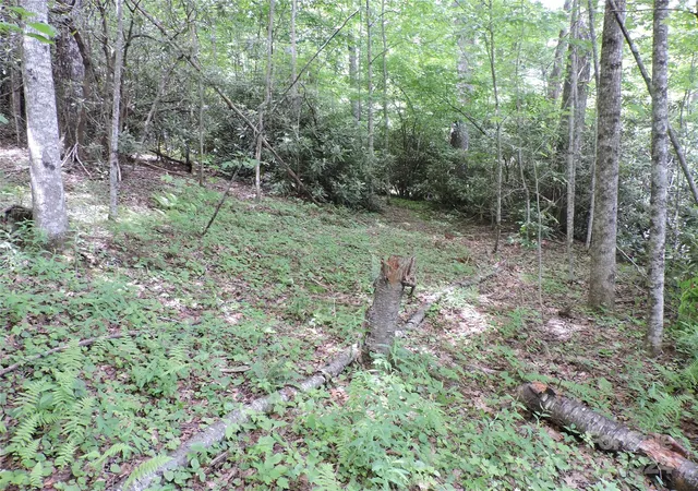Photo 4 of Land for sale at 00 South Toe River Rd #lot 2, Burnsville, NC 28714 | MLS# 4146808 | Listing updated on 2026-08-23