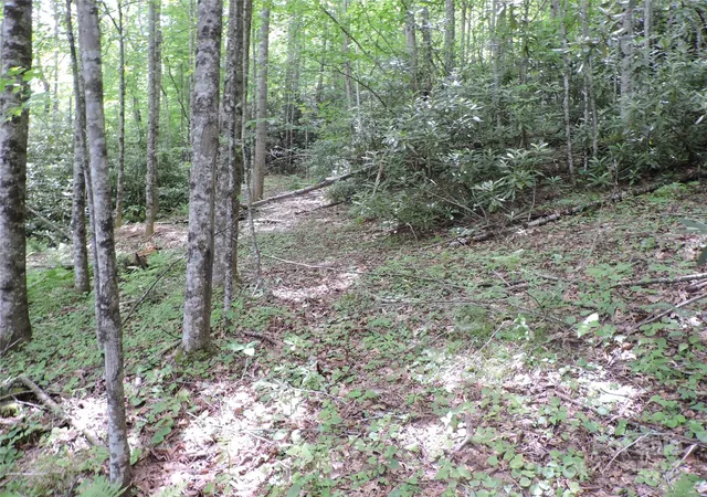 Photo 5 of Land for sale at 00 South Toe River Rd #lot 2, Burnsville, NC 28714 | MLS# 4146808 | Listing updated on 2026-08-23