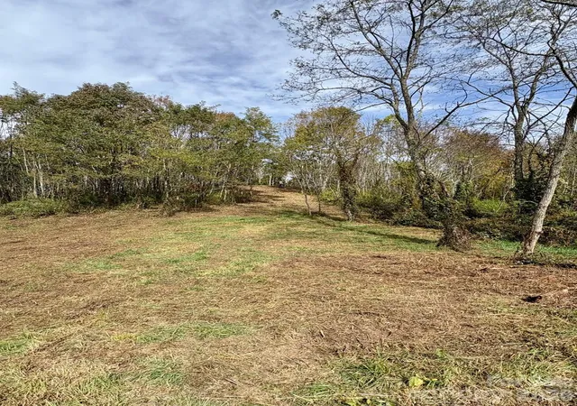 3rd image of Tract 2 Turkey Trot Rd, Clyde, NC 28721 | MLS# 4147897