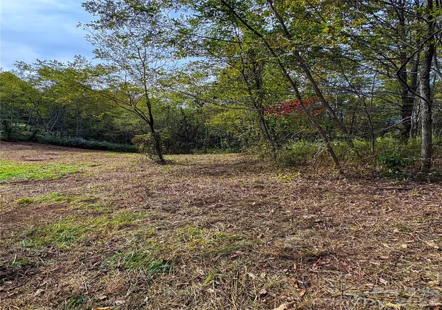 4th image of Tract 2 Turkey Trot Rd, Clyde, NC 28721 | MLS# 4147897