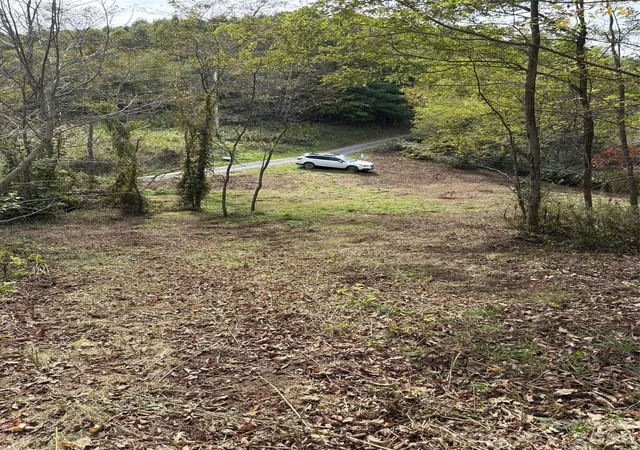 5th image of Tract 2 Turkey Trot Rd, Clyde, NC 28721 | MLS# 4147897