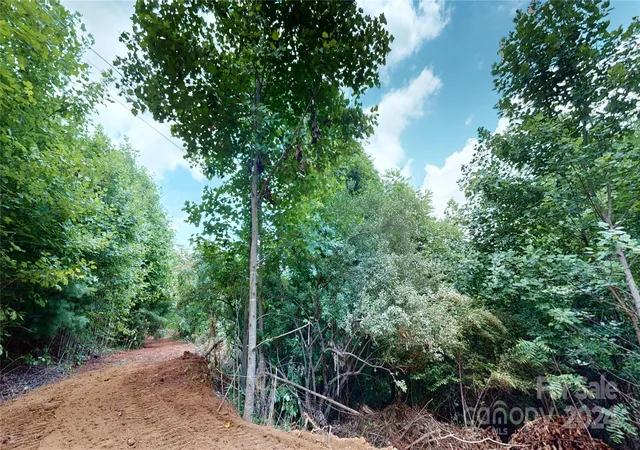 39th image of 000 White Oak Rd, Waynesville, NC 28785 | MLS# 4155753