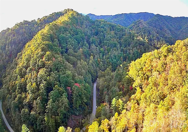 Photo 1 of Land for sale at 0000 Big Laurel Rd, Marshall, NC 28753 | MLS# 4156319 | Listing updated on 2026-10-17