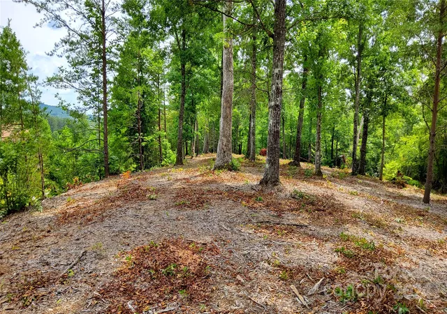 1st image of 00 Wambli Pass #20 & 21, Lake Lure, NC 28746 | MLS# 4156362