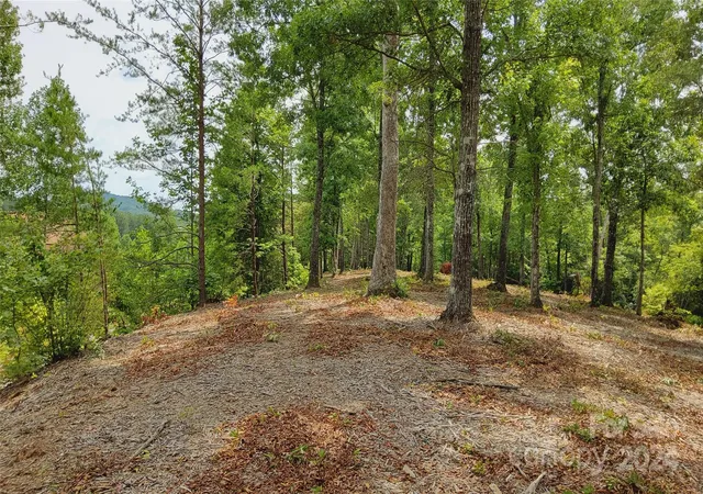 36th image of 00 Wambli Pass #20 & 21, Lake Lure, NC 28746 | MLS# 4156362