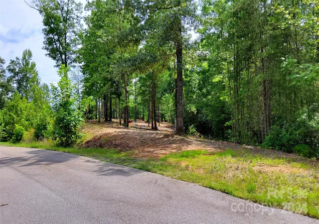 4th image of 00 Wambli Pass #20 & 21, Lake Lure, NC 28746 | MLS# 4156362