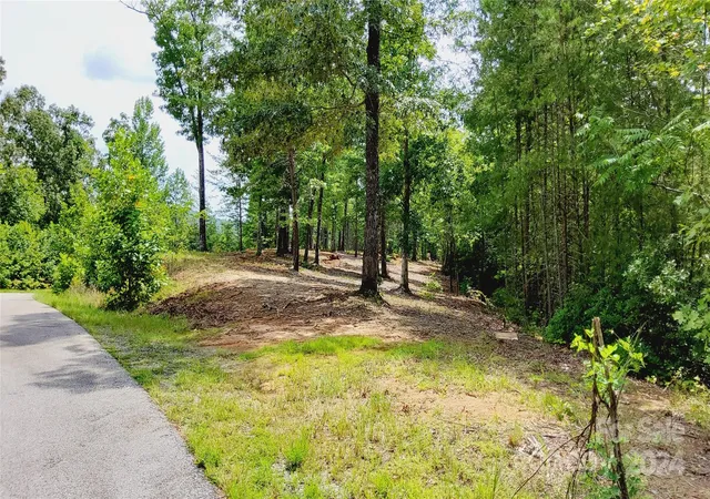 5th image of 00 Wambli Pass #20 & 21, Lake Lure, NC 28746 | MLS# 4156362