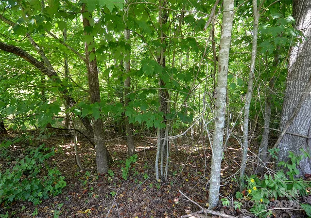 Photo 3 of Land for sale at 00 Victoria Dr, Marion, NC 28752 | MLS# 4159010 | Listing updated on 2026-07-29