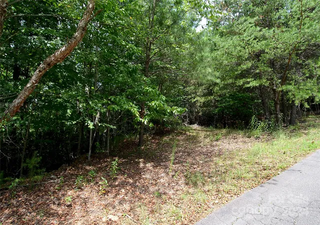 Photo 4 of Land for sale at 00 Victoria Dr, Marion, NC 28752 | MLS# 4159010 | Listing updated on 2026-07-29