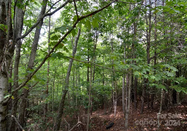 Photo 5 of Land for sale at 00 Victoria Dr, Marion, NC 28752 | MLS# 4159010 | Listing updated on 2026-07-29
