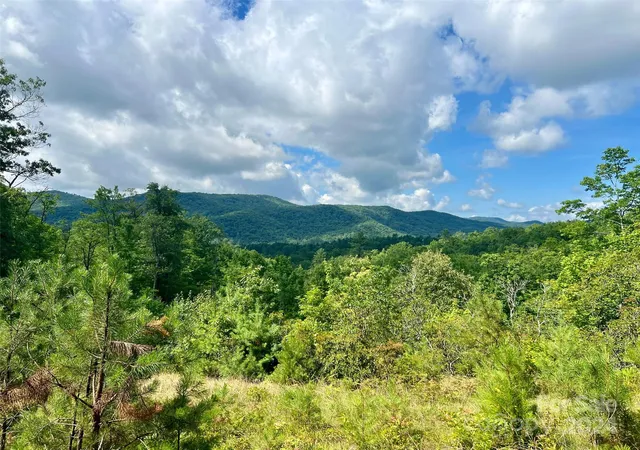 Homes for sale in Brevard, NC | 667 Laurel Thicket Ln, Brevard, NC 28712 | MLS# 4160369