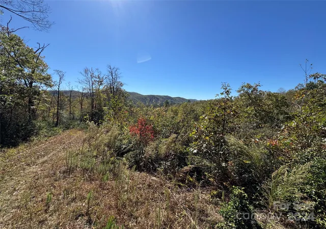 Homes for sale in Brevard, NC | 667 Laurel Thicket Ln, Brevard, NC 28712 | MLS# 4160369