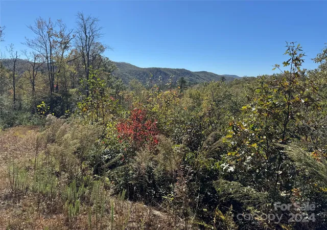 Homes for sale in Brevard, NC | 667 Laurel Thicket Ln, Brevard, NC 28712 | MLS# 4160369