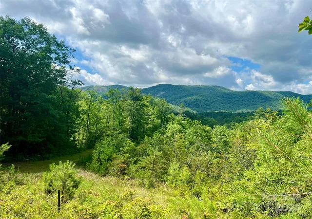 Homes for sale in Brevard, NC | 667 Laurel Thicket Ln, Brevard, NC 28712 | MLS# 4160369